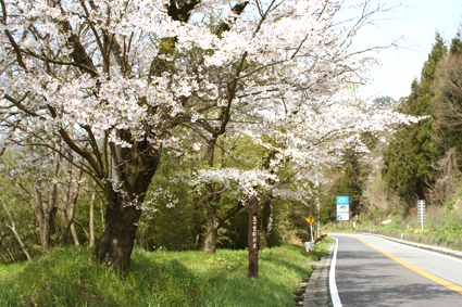 県道